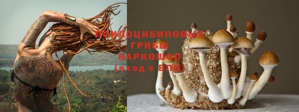 спайс Тайга