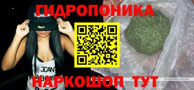 гидра Кунгур