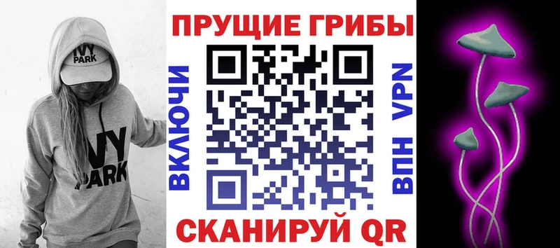 сайты даркнета официальный сайт  где можно купить   Назарово  Псилоцибиновые грибы Magic Shrooms 