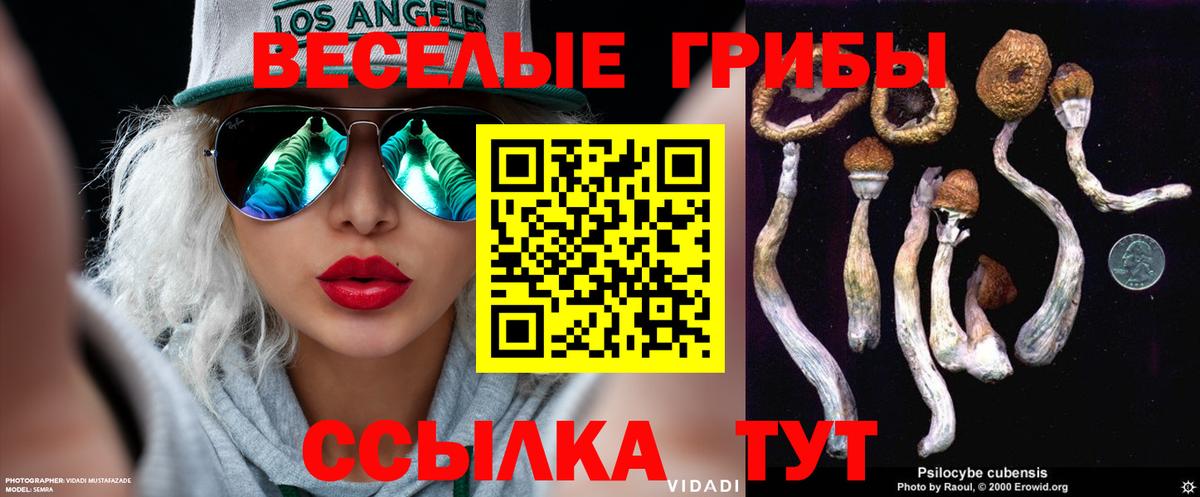 Псилоцибиновые грибы Cubensis  Вход с VPN  Назарово 