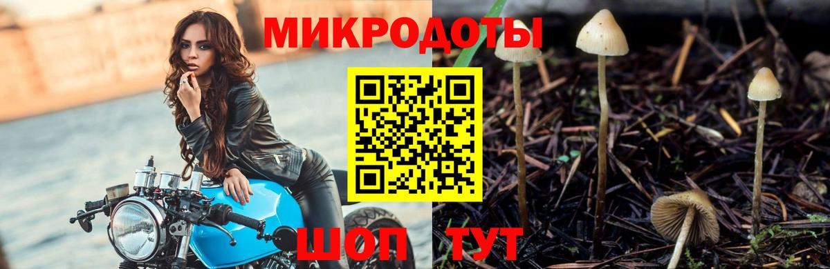 Галлюциногенные грибы MAGIC MUSHROOMS Назарово